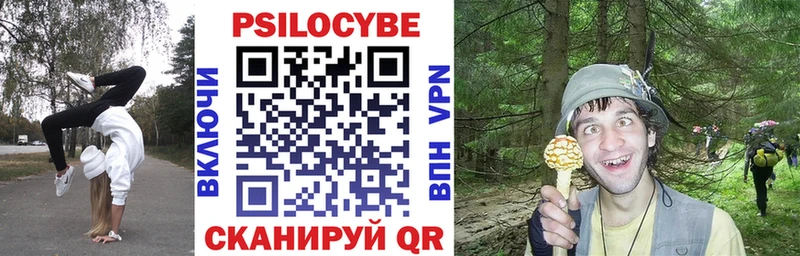 Галлюциногенные грибы Cubensis Высоцк